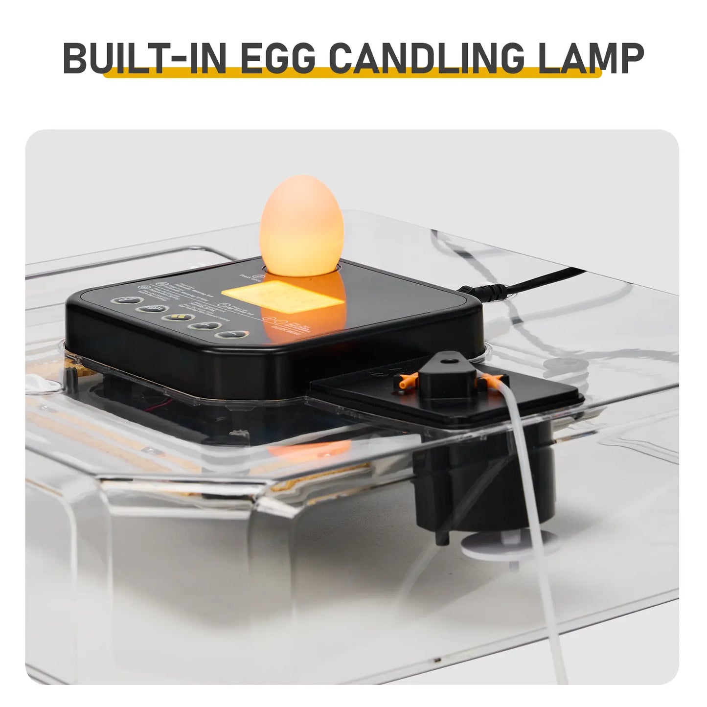 48-Egg Incubator 110V, Fully Automatic with Egg Turner & Temperature/Humidity Control, Clear Lid with LED Candler and Storage, for Hatching Chicken, Duck, Quail Eggs