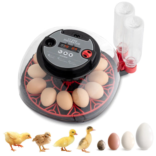 48-Egg Incubator 110V, Fully Automatic with Egg Turner & Temperature/Humidity Control, Clear Lid with LED Candler and Storage, for Hatching Chicken, Duck, Quail Eggs